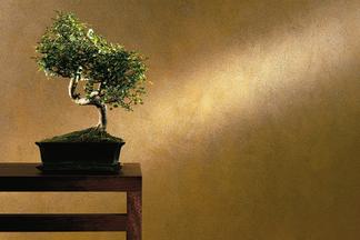 Metallic Innenraumfarbe mit Pflanze auf einem Tisch