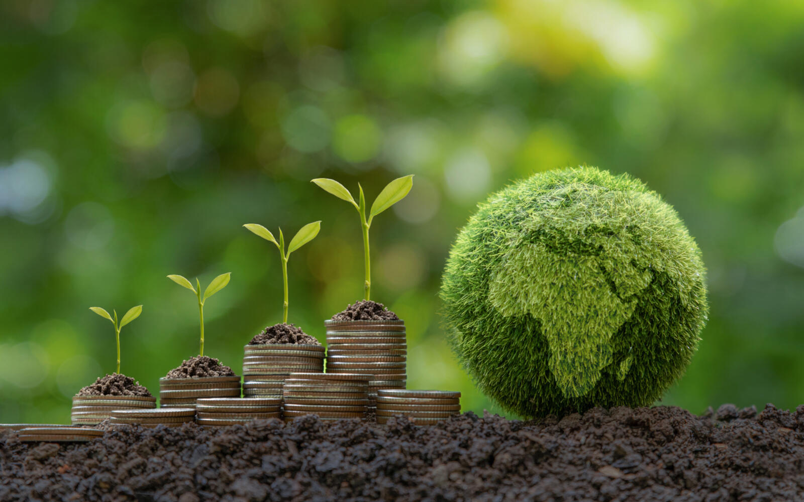 Nachhaltige Investition